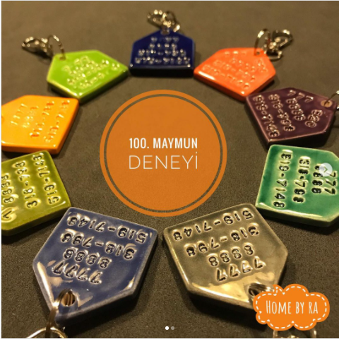 100 Maymun Deneyi