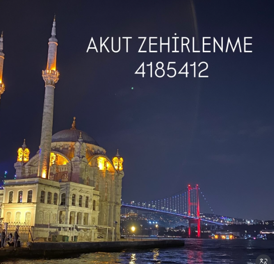 Akut Zehirlenme