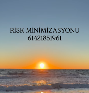 Risk Minimizasyonu