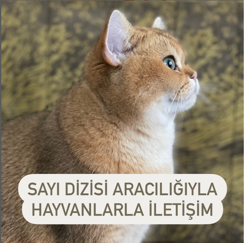 Sayı Dizisi Aracılığıyla Hayvanlarla İletişim