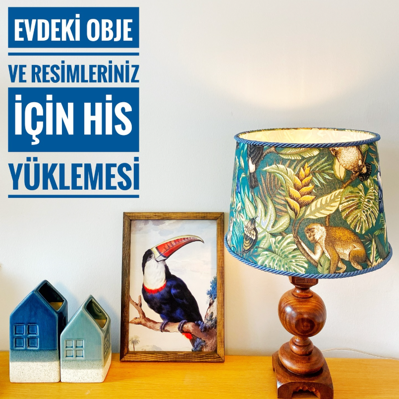 Evdeki Obje ve Resimleriniz İçin His Yüklemesi