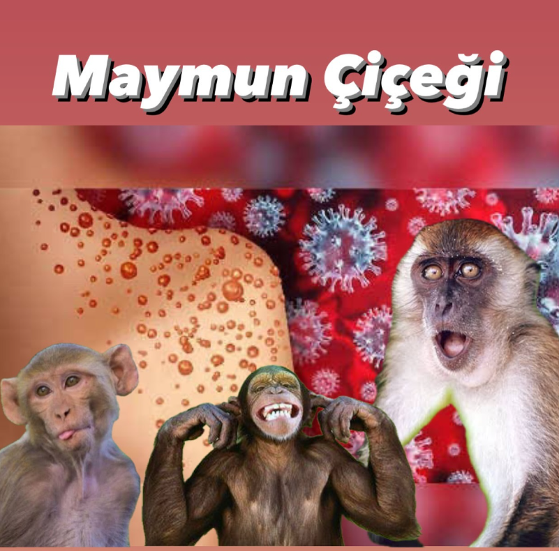 Maymun Çiçeği