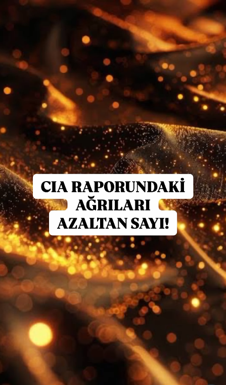 CIA Raporundaki Ağrıları Azaltan Sayı