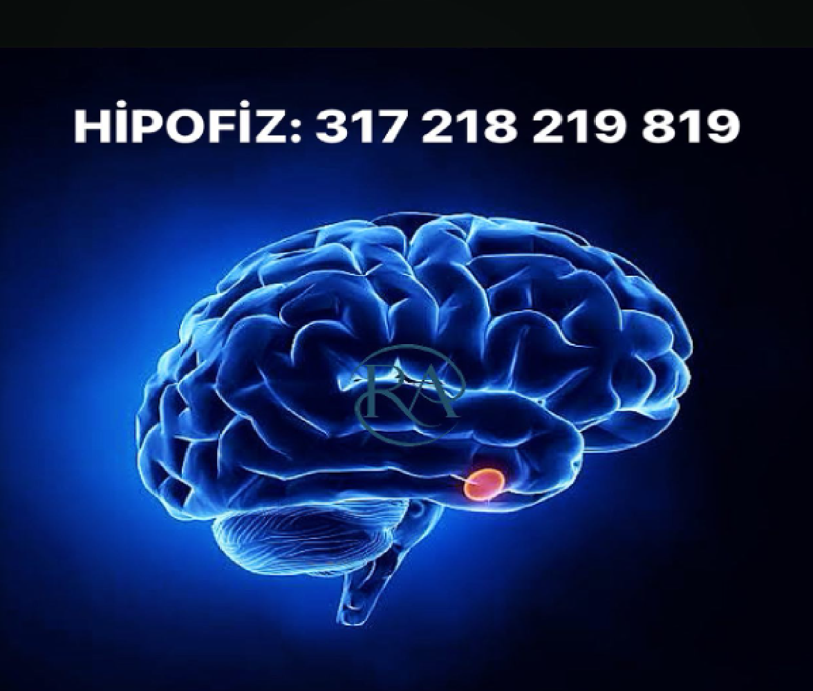 Hipofiz