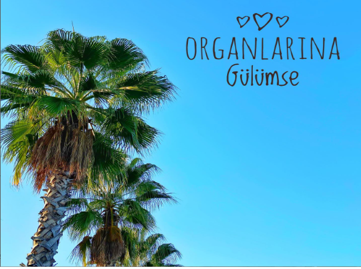 Organlarına Gülümse