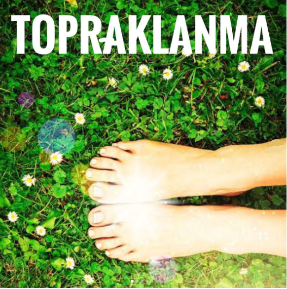 Topraklanma