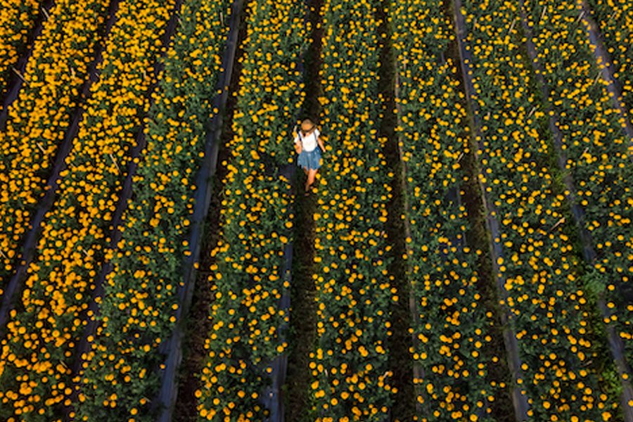 Yaratım ve Bolluk Semineri