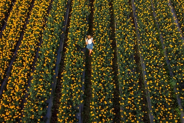 Yaratım ve Bolluk Semineri