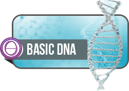 21-23 EKİM 2025 BASİC DNA SEMİNERİ