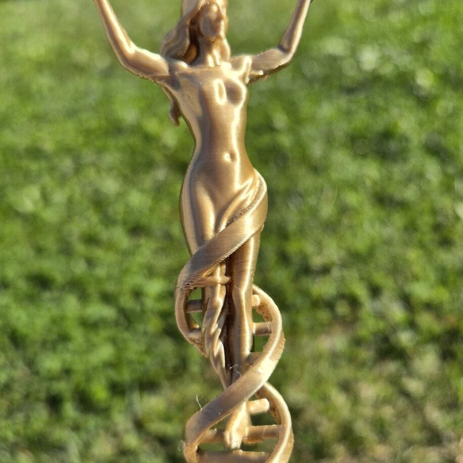 Kendini Gerçekleştir