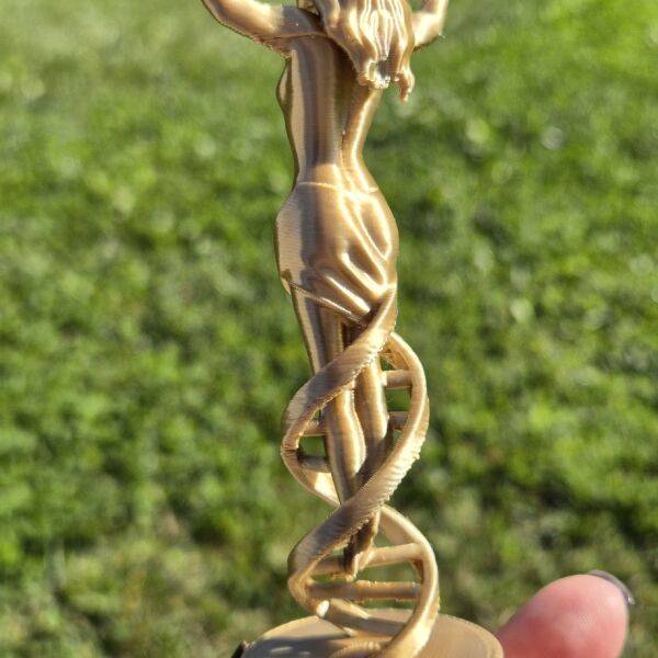 Kendini Gerçekleştir