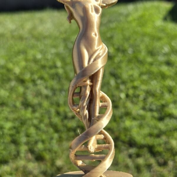 Kendini Gerçekleştir