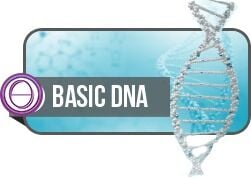 6-8 KASIM 2026 BASİC DNA SEMİNERİ