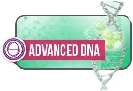 11-13 ARALIK 2026 ADVANCED DNA SEMİNERİ